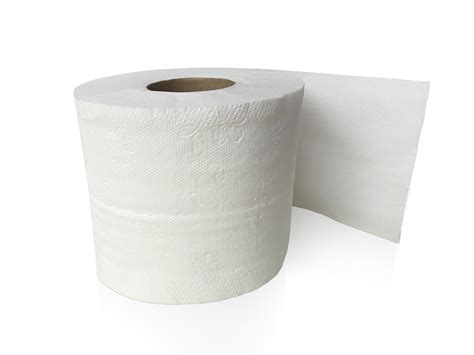 moosvi toilet paper.